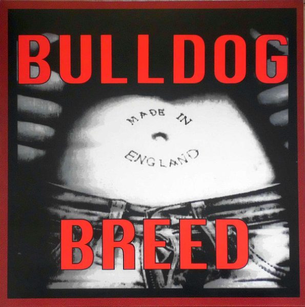 BulldogBreedMadeinEngland.jpg
