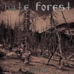 hate-forest-sorrow-lp-1