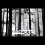 FOREST FOREST TEST