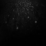 R-33751236-1745084367-7106-2