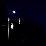 R-14143641-1568645643-5812-2