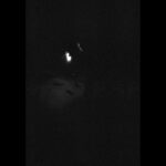 R-16508241-1608169036-8751