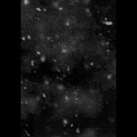 Paysage D'Hiver (CH) – Einsamkeit A5 DIGI-CD